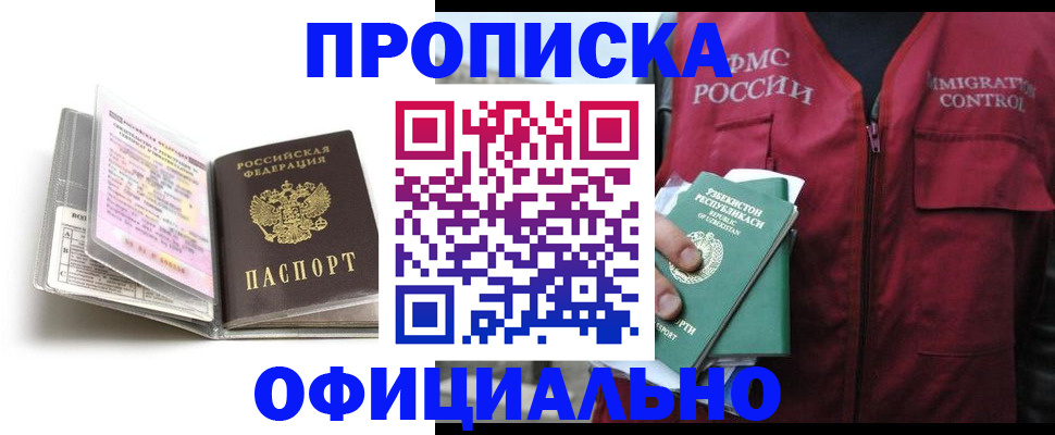 прописка 2025 в Дмитрове